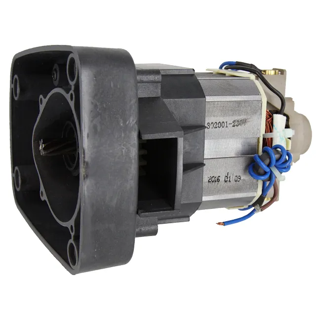 JET-SKY MOTORE PER TOSAERBA W.1000 QT3021